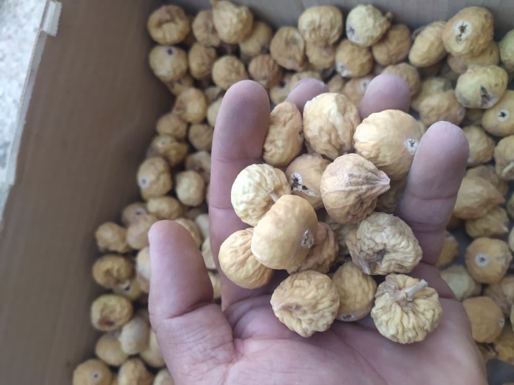 تصویر 1 از فروش انجیر خشک زرد با بهترین قیمت بازار